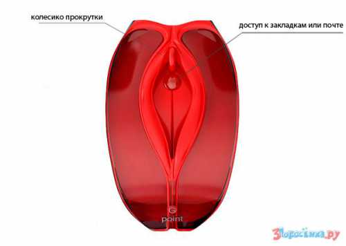 Можно задержаться внизу на секунду, и на вдохе поднимаемся в исходное положение