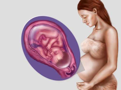 41 неделя беременности