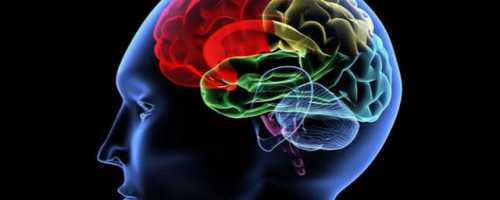 Способности отличаются на качественном уровне один человек обладает возможностями и потенциалом для одной сферы, а другой человек для иной сферы