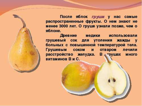 В условиях средней полосы лучше делать это осенью