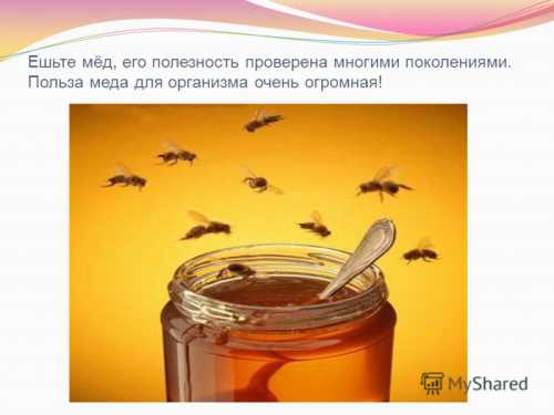 Эти существа неведомо каким образом все делают осмысленно и гармонично