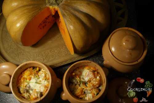 Нарезаем кусочками дольками шириной см