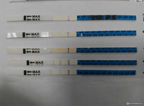 У разных изготовителей тестов на беременность бывает разный результат