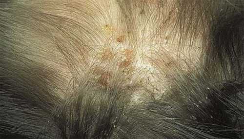 Мне однажды такой сон приснился, так прям на следущий день нашел на улице часы, сдал в ломбард и получил пару косарей