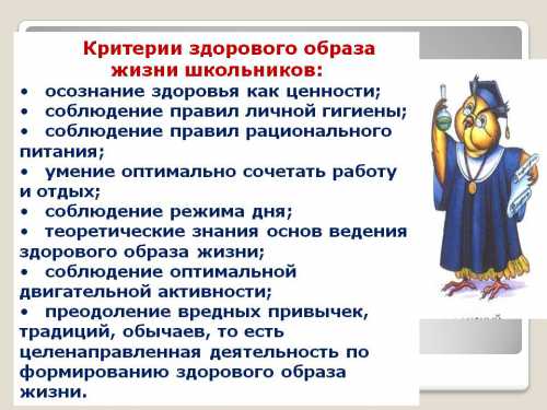 Здоровый образ жизни школьника