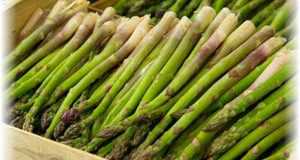 Сок растения рекомендуют использовать людям с проблемами почек и при патологии желез