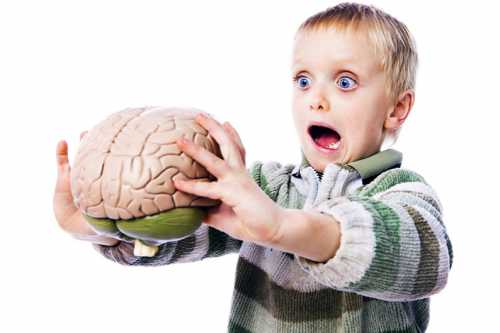 Окружающая среда и близкие родственники выступают в качестве стимулятора роста соединений и их дальнейшего упорядочивания