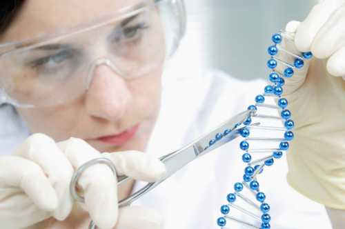 Ученые выяснили, как гены вызывают болезни