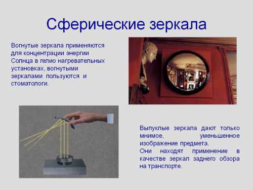 Цветки одиночные, очень ароматные