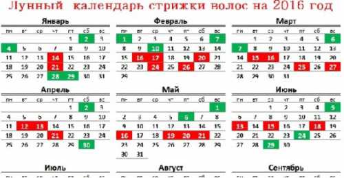 Один из самых лучших зодиаков для стрикжи