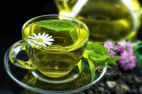 В конце летаначале осени заготавливают цветочки тимьяна розового цвета ст