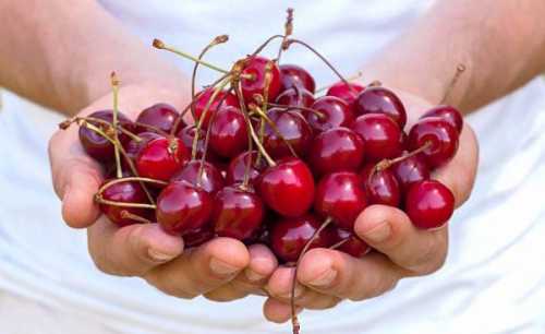 Чистые плоды выложите в кастрюлю