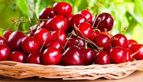 Вишня:  польза и вред, кому её очень рекомендуют