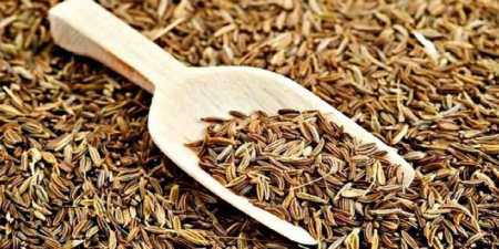 Полезные свойства и противопоказания  тмина,
