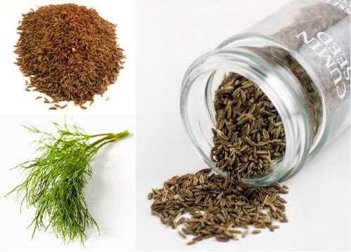 В основном тмин с лечеными целями употребляют в виде настоя