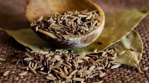 Средство улучшит пищеварение, прекратит гниение и брожение в кишечнике, восстановит его нормальное функционирование