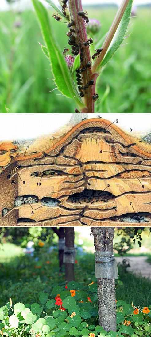 Оказалось, если долго искать, то можно и найти действенное средство комментарий был удален комментарий был удален мая