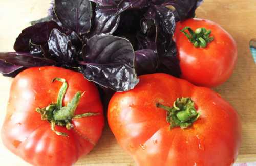 Если же во сне ктото ест помидоры, и они кажутся ему невкусными, он возмущается и кричит такой сон предвещает вам пустые конфликты и хлопоты изза чужой некомпетентности