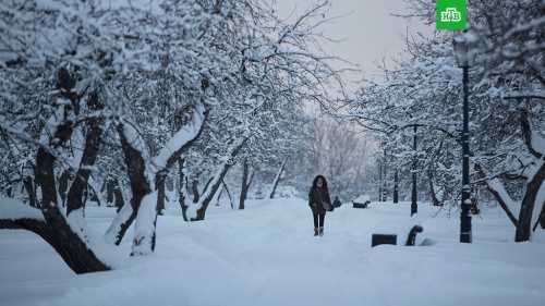 МЕЖДУ ТЕМСпасатели ликвидировали пожар в двух подмосковных ангарах