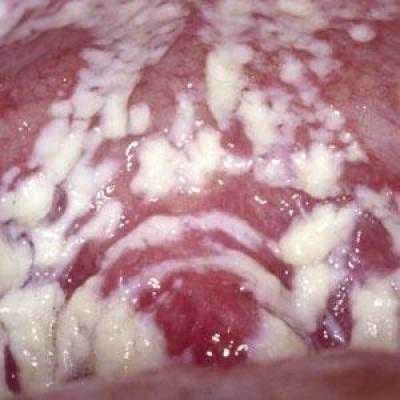 Читать подробнее