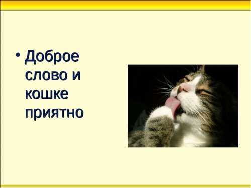 Доброе слово и кошке приятно