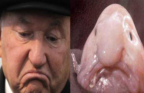 На кого мы похожи