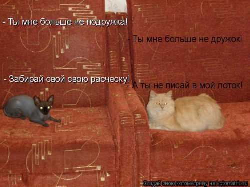 За последние несколько недель