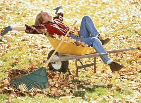 Если садовод выполнял все правила обрезки, то весной нужно только скорректировать процесс