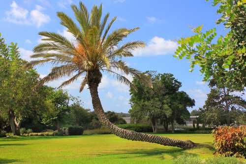 Парк Ротшильда, Ramat Hanadiv