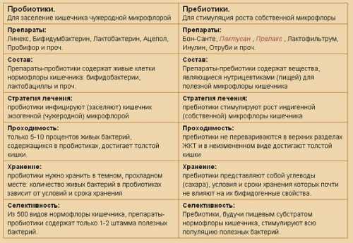 Пробиотики и пребиотики