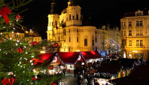 Жареный карп оказался очень жирным и трудоёмким в приготовлении