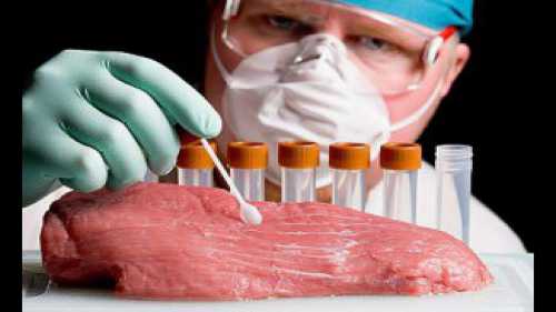 Вскоре человечество перейдет на искусственное мясо