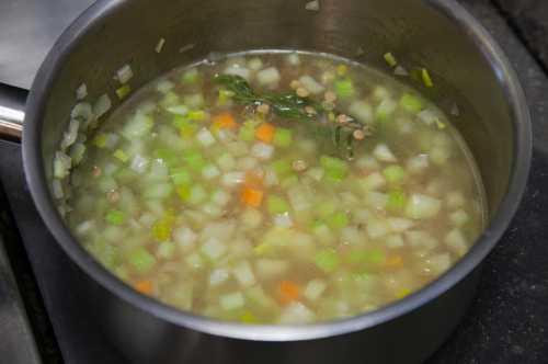 Рецепты постного супа из чечевицы, секреты выбора