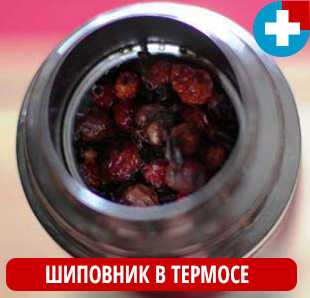 Как заваривать шиповник в термосе, правила