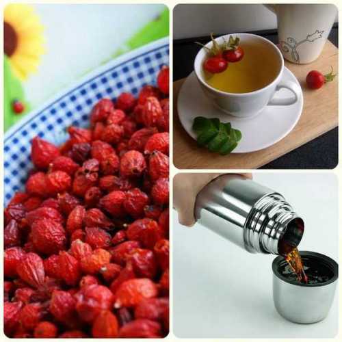 Зная о полезных свойствах, люди с века выращивают культурные сорта, постоянно улучшают его сортовые особенности