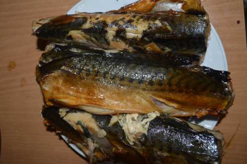 Копчение скумбрии