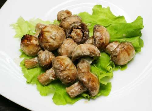 Поэтому при первой встрече обратите внимание на нос незнаком