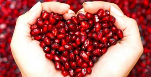 Полезные свойства граната для женщин, возможный