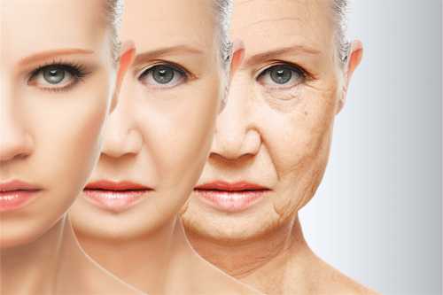 Читайте также