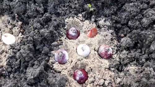 Это может привести к его гибели