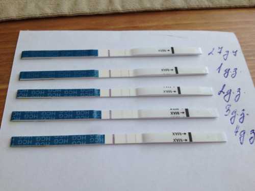 По истечении часов ее нужно удалить из холодильника, в котором она по правилам хранилась, а для проведения тестов собрать новый объем урины