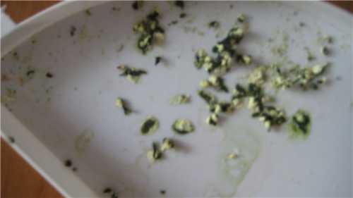 К таковым относятся