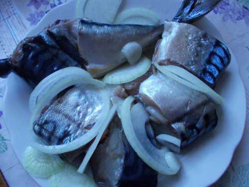 Засоленная по этому рецепту скумбрия невероятно нежная