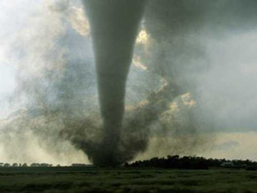 По некоторым поверьям, существует несколько разновидностей