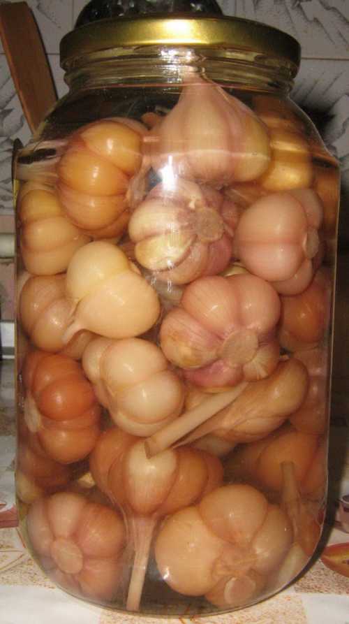 Положите в нее лавровые листья, всыпьте указанное в рецепте количество соли и сахара, доведите до кипения и прокипятите в течение минуты