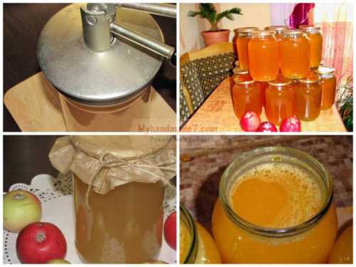 При правильном подборе ингредиентов заготовить на зиму яблочный сок в банках не составит труда даже молодой неопытной хозяюшке