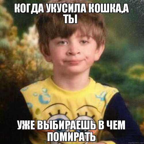 Из всего этого я не поняла только одного и, не пожелав оставаться в неизвестности, прямо спросила