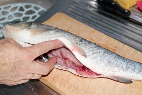 К чему снится рыба мужчине, потрошёная рыба во