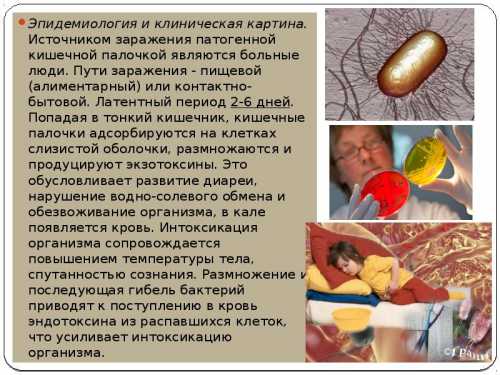 Заразиться ротавирусом можно где угодно