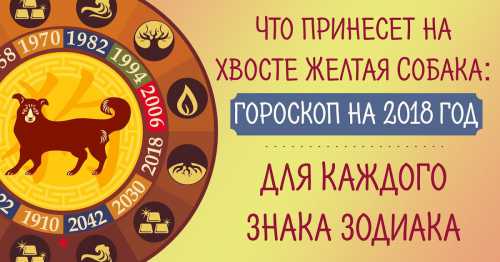При желании можно подобрать более спокойный оттенок, отдав дань символу года желтым брючным ремнем, шейным платком, галстуком, цветком в петличке